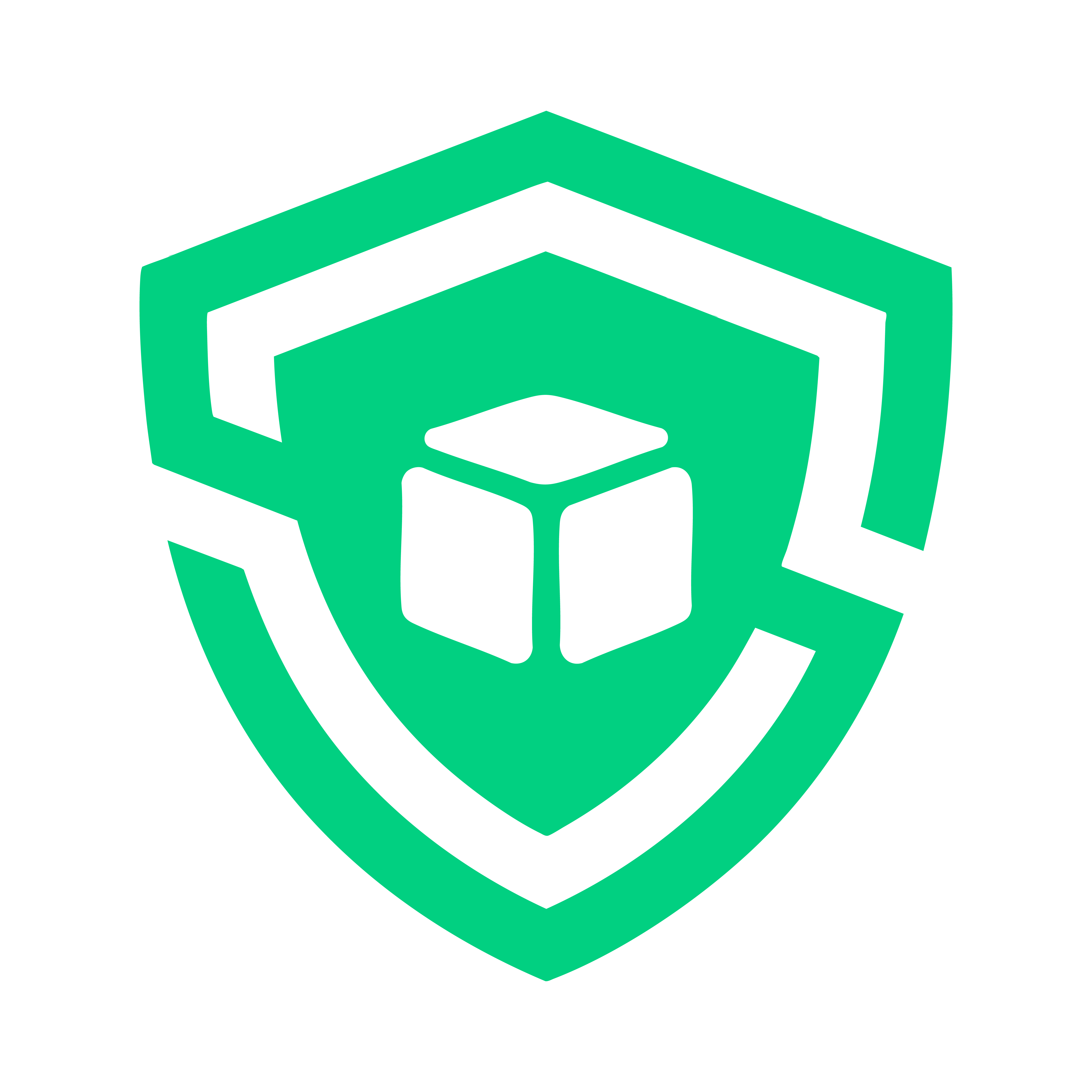 Shipping Protection - For Damage, Loss & Theft